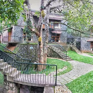 Bed and breakfast Wildernest